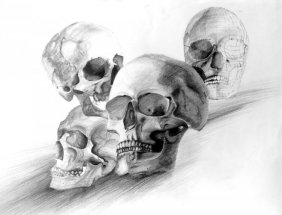 Studium czaszki